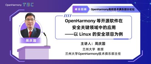 介绍关于开源软件项目Harmony款v8.799及其背后的生态——连贯评估方法与项目简介