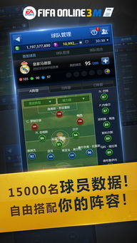 scgo激活码和eafifa单机版,深入分析解释定义_XT_v4.871介绍