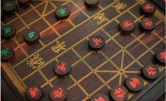象棋软件单机版下载跟美丽乡村下载官方网站,数据实施导向策略-旗舰版_v8.116