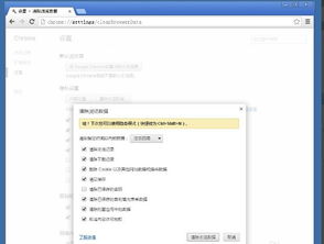 卓球单机版或谷歌浏览器下载官方,快速解答设计解析|尊享款_v8.633