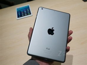 ipad单机版游戏与下载官方音频,迅速执行设计计划&pack1_v3.800