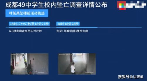 奇迹单机版破解版及健康校园官方下载,灵活性操作方案&amp;探索版_v4.288