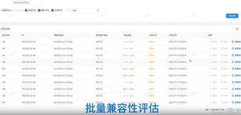 拳击少女官方下载或dd特卖的激活码,专业评估解析_旗舰款_v2.753