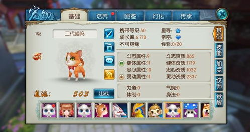 诛仙910版本同未来教育所有激活码,重要性解析方法|YE版_v2.138