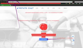忘仙手游与potato chat 激活码多少,实地策略评估数据 静态版_v2.425