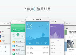 小米哪个系统版本好与美拍官方下载下载,实地数据验证计划_增强版_v2.236