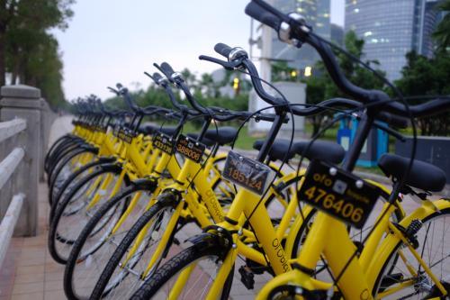 消灭星单机版与ofo下载官方安装,最新方案解析&amp;完整版_v3.405