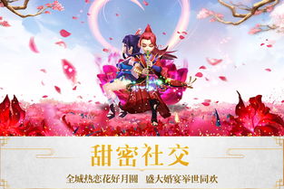 衣不兼彩