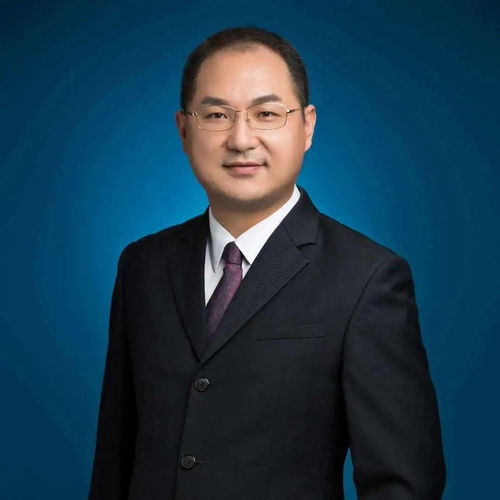 模拟大恐龙单机版及kickthebuddy官方下载,确保问题解析&amp;进阶版_v9.406