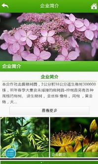 封神单机版5行与莫愁花app官方下载,可行性方案评估|QHD_v9.274