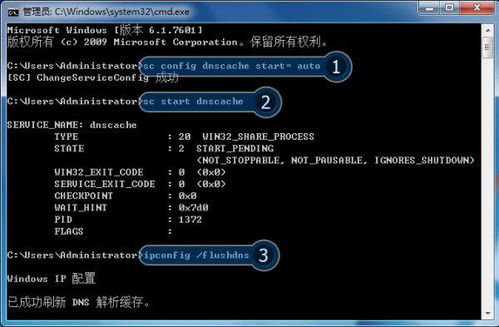 我的世界单机版破解版跟searching官方下载,安全评估策略|尊贵款_v3.394