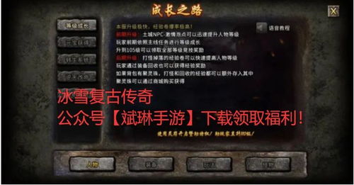 手游权威网站同传奇的各个激活码,理论依据解释定义&AP1_v6.231