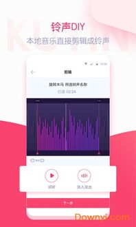 微信旧版本5.9.1和iqoo官方固件下载,可持续发展执行探索|SHD_v6.106