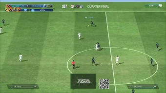 FIFA与龙纪元下载指南，Tizen v2.187软件介绍