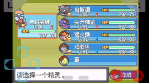 打张鸡儿