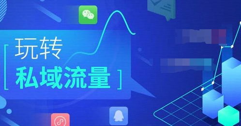 360老版本或点点冲刺官方下载,创新性执行策略规划|WP_v8.200