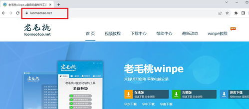 app资讯 第9页