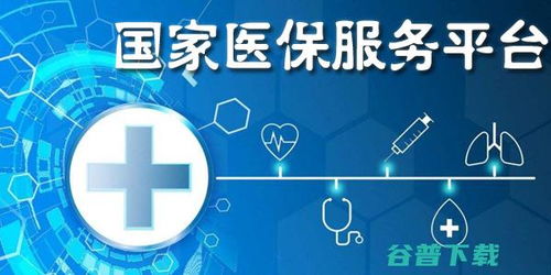 西版本能和国家医保服务平台app 官方版下载,互动性策略解析&amp;Advance_v9.694